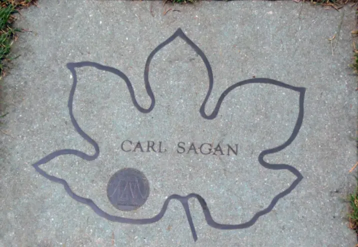 Memorial stone for Carl Sagan