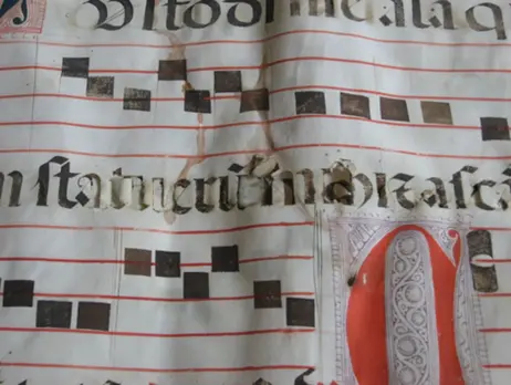 Papyrus.