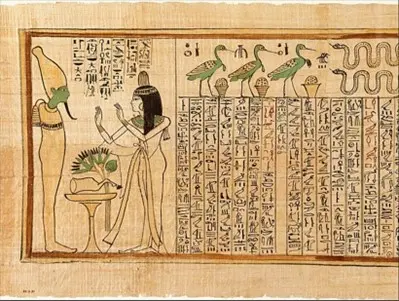 Egyptian papyrus.