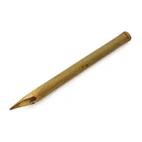 Calamus.