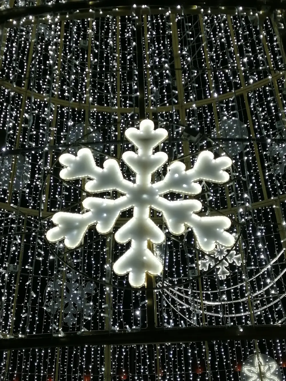 In the Heart of a Snowflake