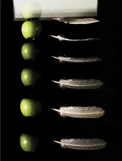 Apple and feather falling at the same time.
