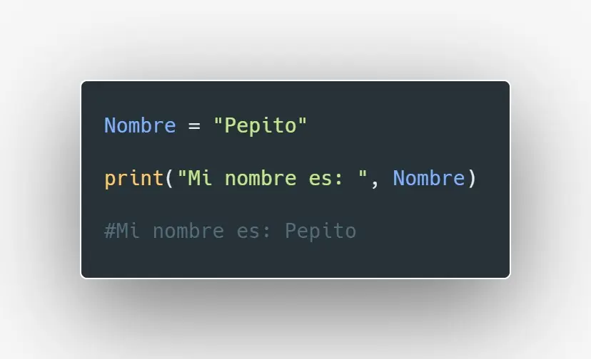 Python code snippet.