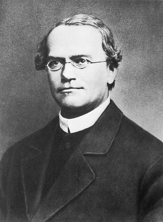 Mendel's Laws